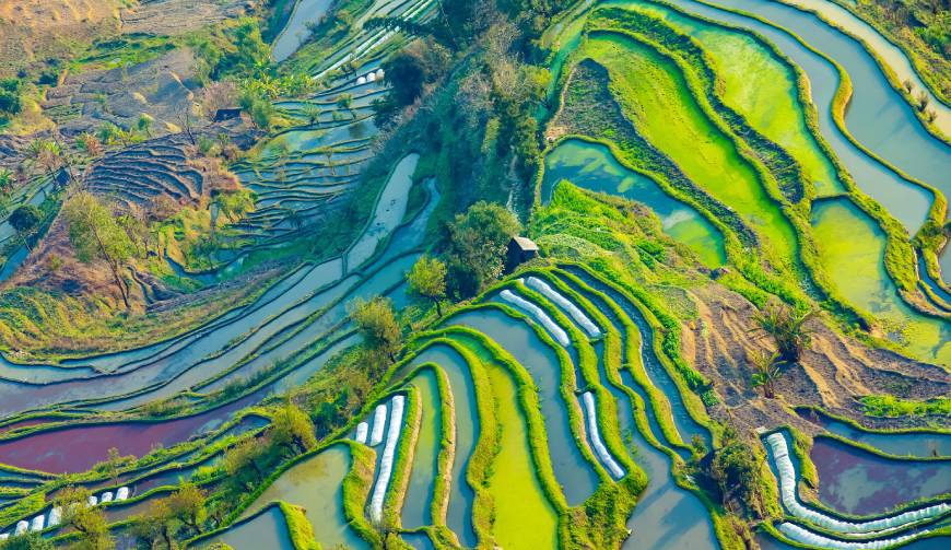 走进新华区TVC拍摄：解锁本地化场景与创意镜头的完美融合